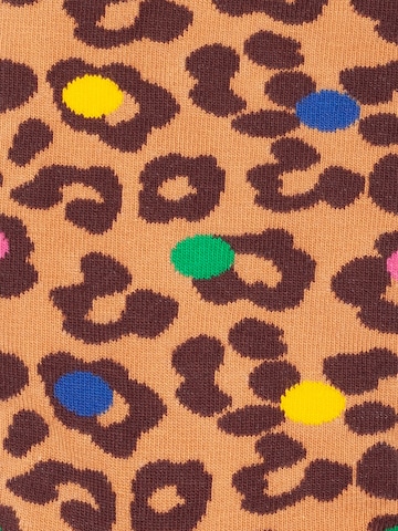 Chaussettes 'Exotic Trio' DillySocks en mélange de couleurs