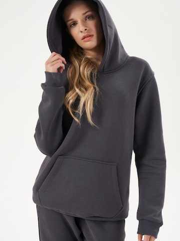 LOUIS LECLER Sweatshirt 'Nora' in Grau