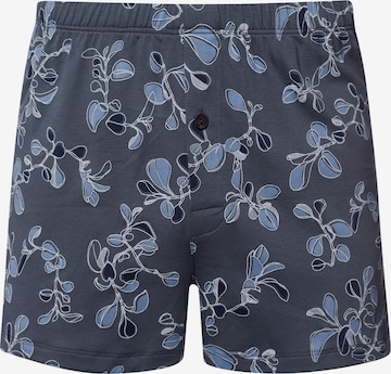 Boxers ' Cotton Sporty ' Hanro en bleu : devant