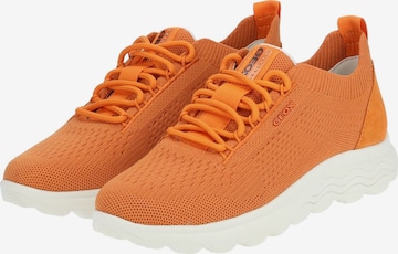 GEOX Sneaker 'Spherica' in Orange