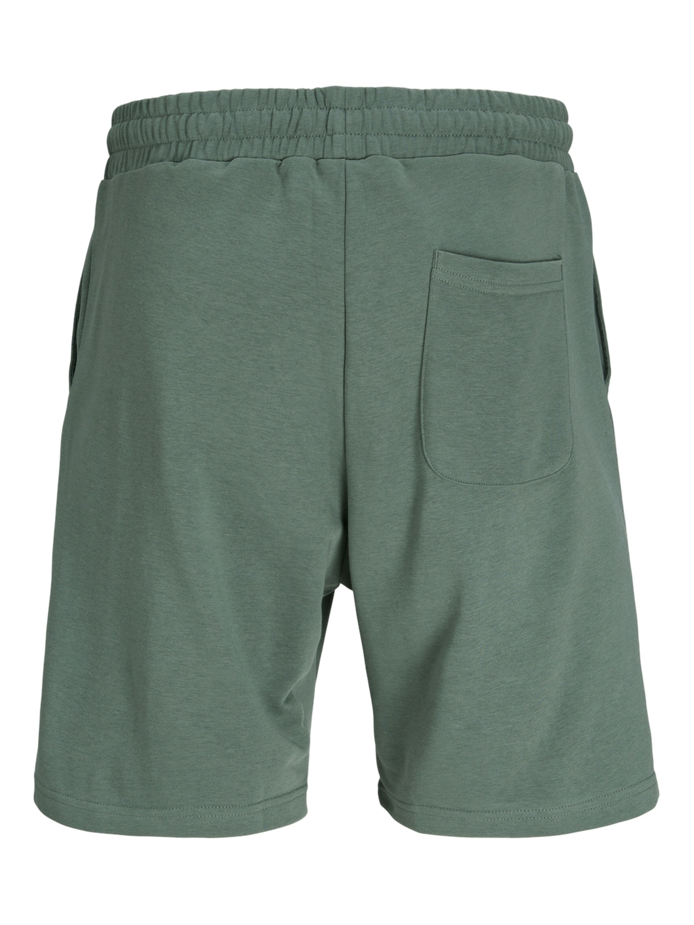 Largi Pantaloni 'JPSTKane Vesterbro' de la JACK & JONES pe verde