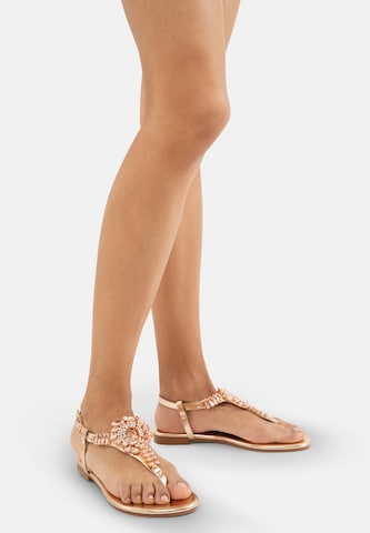 Salinyang Teenslipper in Goud