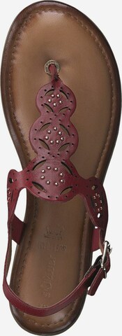 s.Oliver T-Bar Sandals in Brown