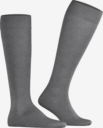 FALKE Knee High Socks 'ClimaWool' in Grey: front
