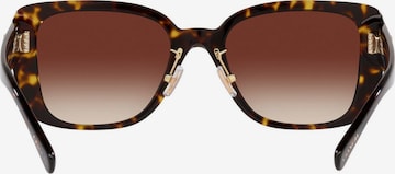 COACH Sunglasses in Brown