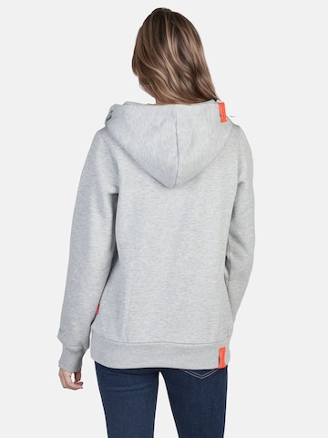 salzhaut Sweatshirt 'Sünn' in Grey