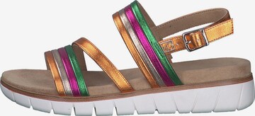 s.Oliver Strap Sandals in Mixed colors