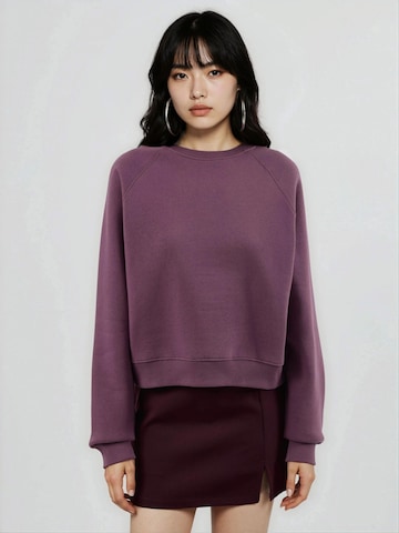 Busem Sweatshirt in Lila: voorkant
