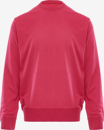 Pull-over BLONDA en rose : devant