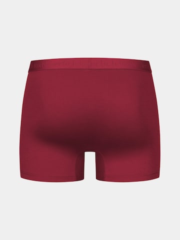 Erlich Textil Boxershorts 'Light Touch' in Rot