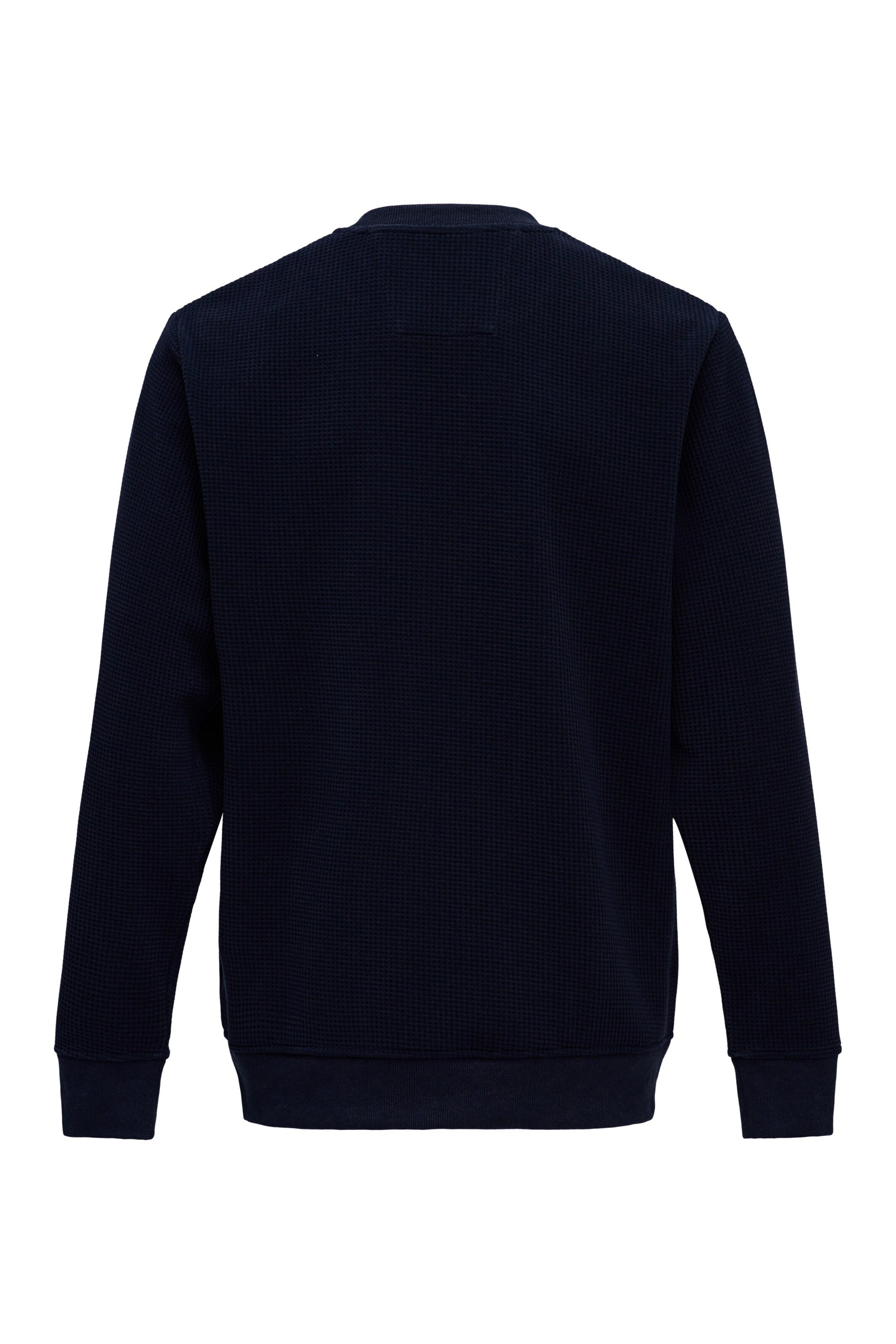 Salsa Jeans Sweatshirt in Blau