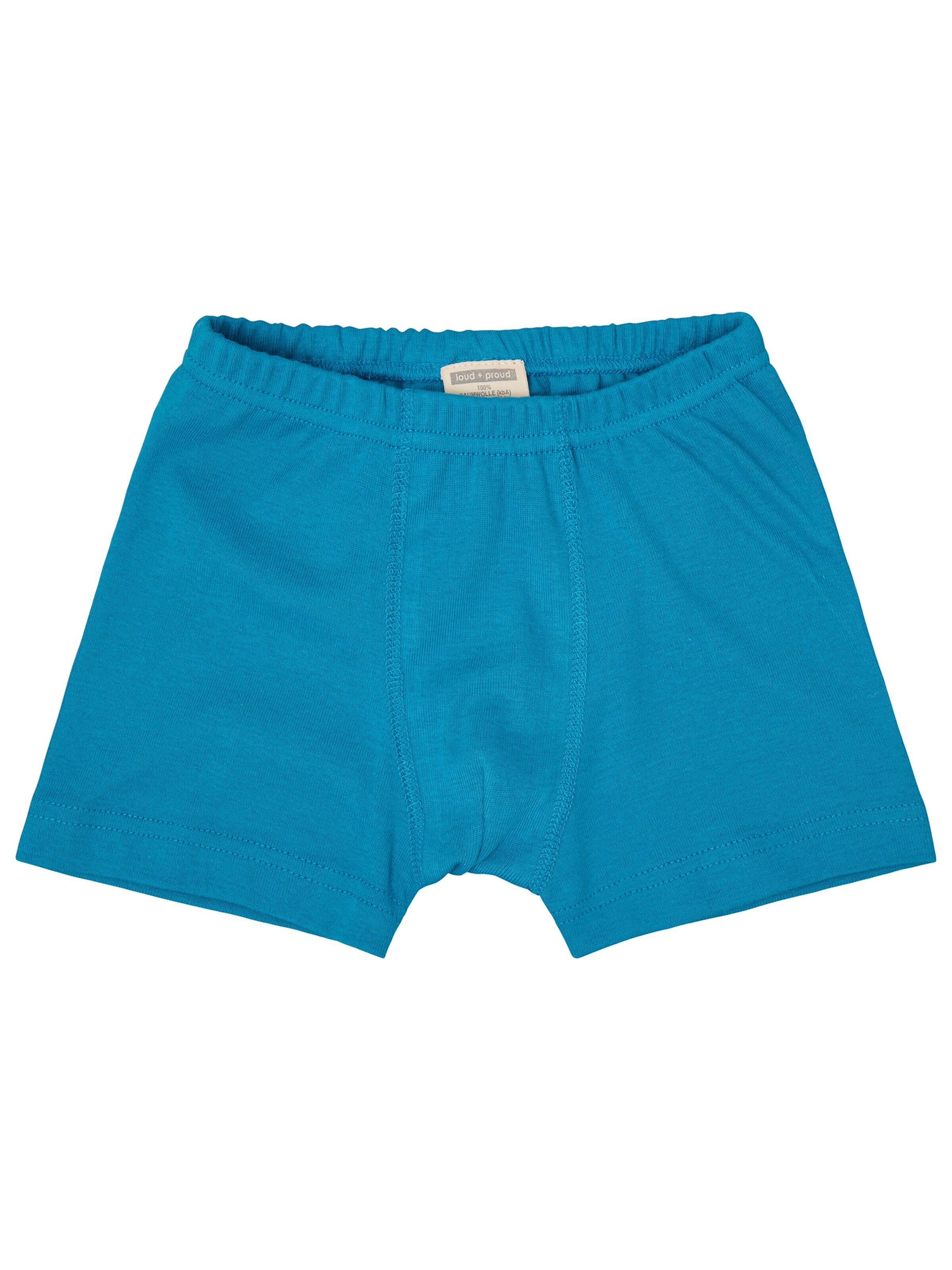 loud + proud Underpants in Green