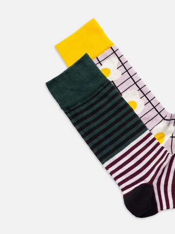 DillySocks Socken 'Breakfast Club' in Grün