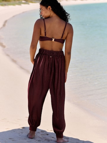 Tapered Pantaloni di B by Ted Baker in marrone