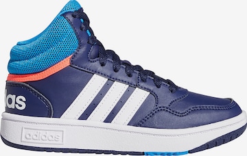 ADIDAS ORIGINALS Athletic Shoes 'Hoops 3.0' in Blue