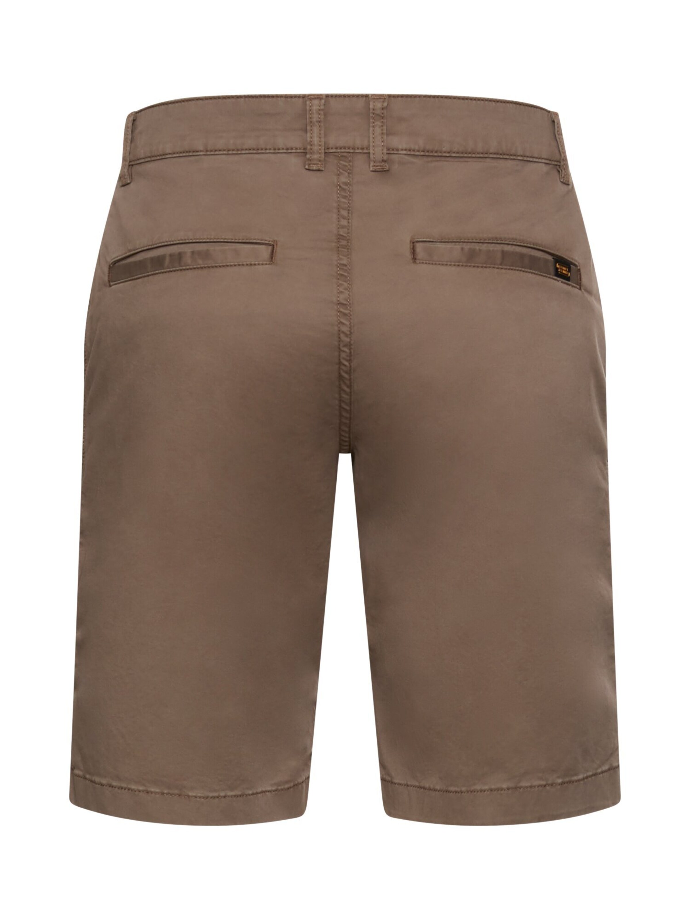 CAMEL ACTIVE Regular Pants in Brown