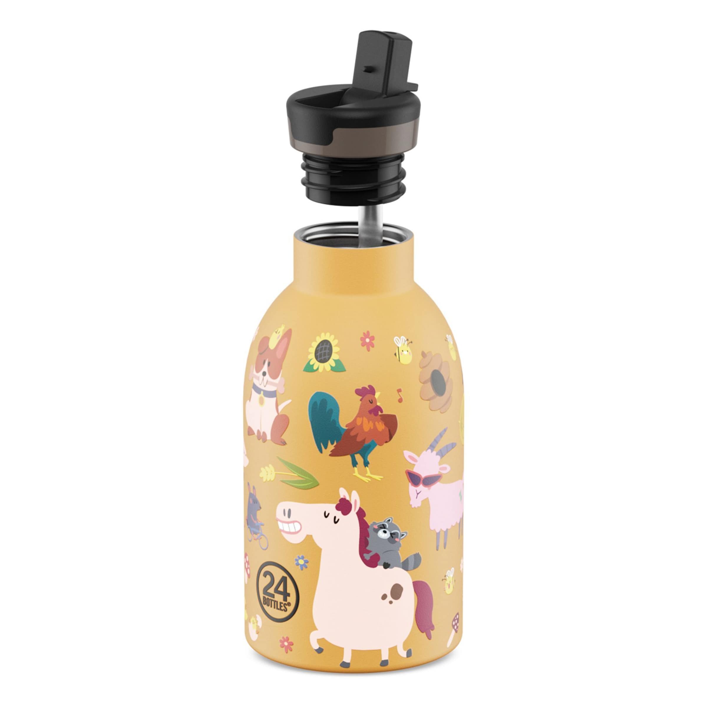 24Bottles Trinkflasche 'Clima' in Orange