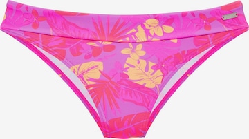 purpurinė VENICE BEACH Bikinio kelnaitės: priekis