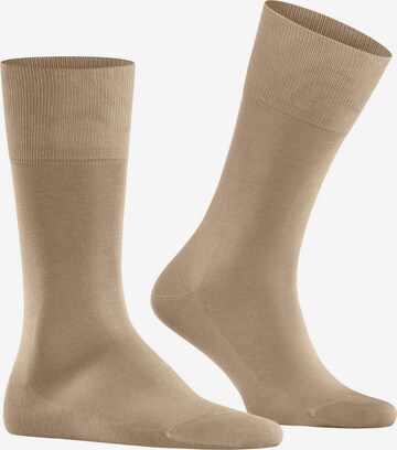 Calzino di FALKE in beige