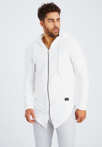 Leif Nelson Zip-Up Hoodie in Grey: front