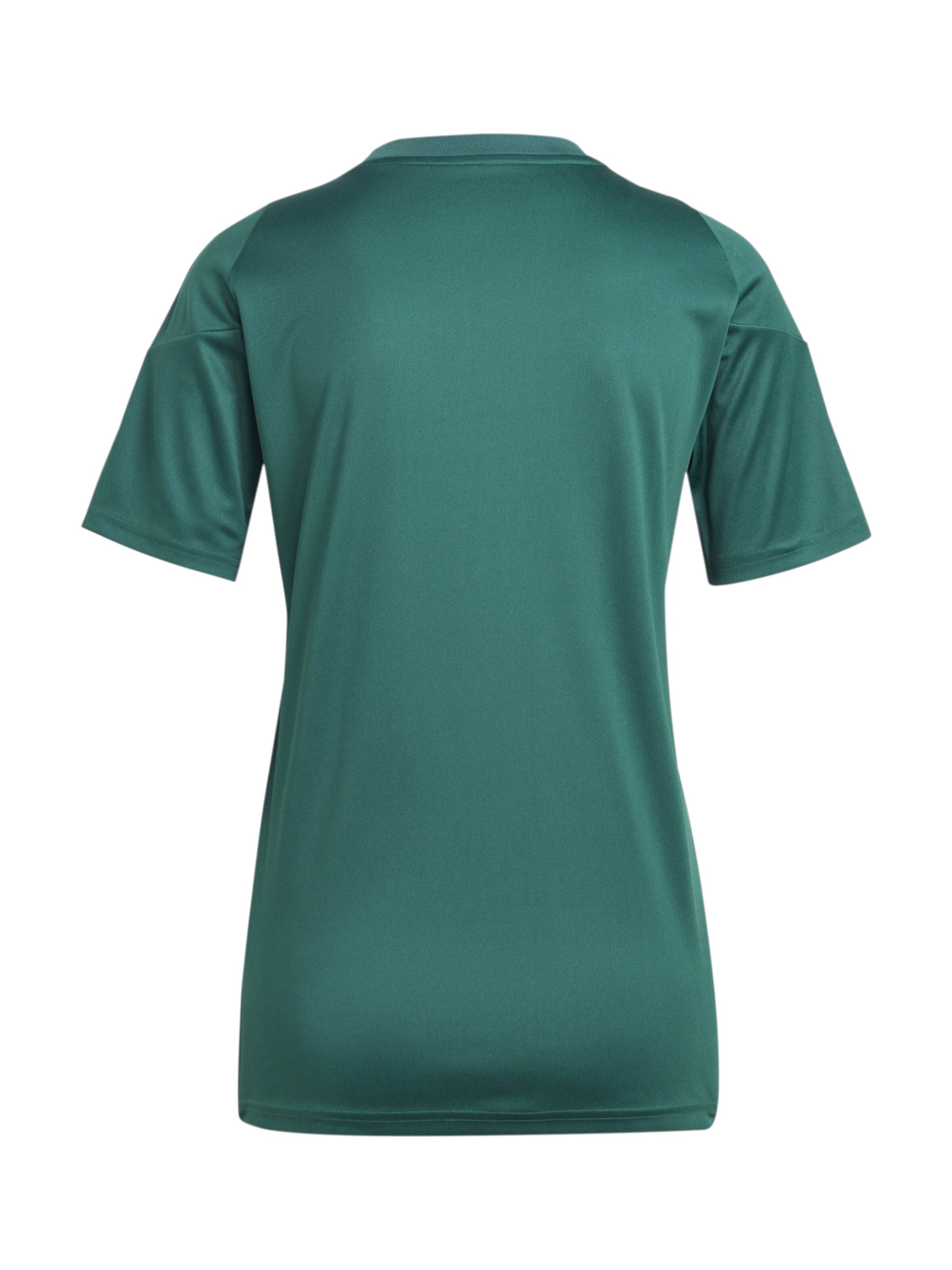 ADIDAS PERFORMANCE Jersey 'Tiro 24' in Green