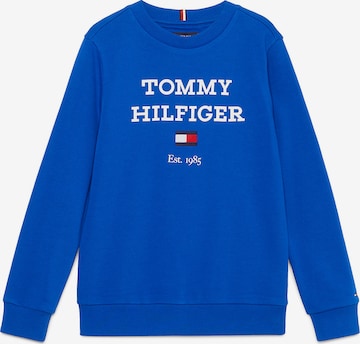 TOMMY HILFIGER Bluza w kolorze niebieski: przód
