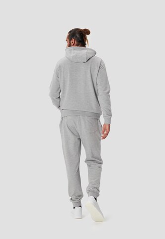 Oldskull Kapuzensweater 'Asian Big W' in Grau