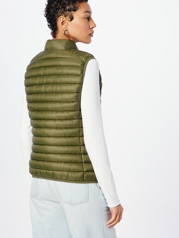 SAVE THE DUCK Bodywarmer 'CHARLOTTE' in Groen