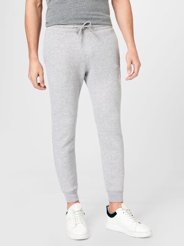 Effilé Pantalon HOLLISTER en gris : devant