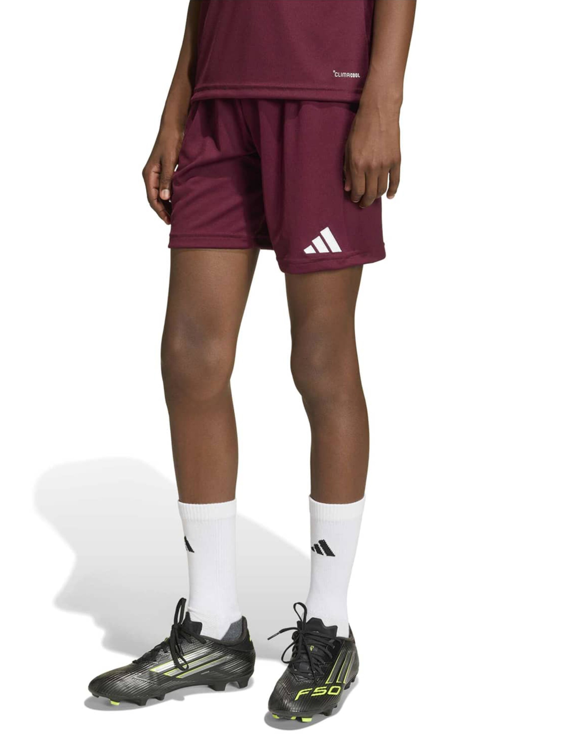 ADIDAS PERFORMANCE - regular Pantalón deportivo 'ENT26' en rojo: frente