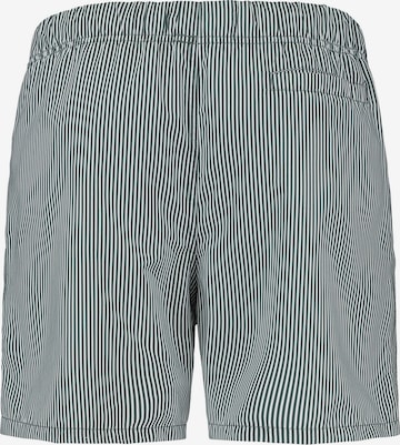 Shiwi Zwemshorts in Groen