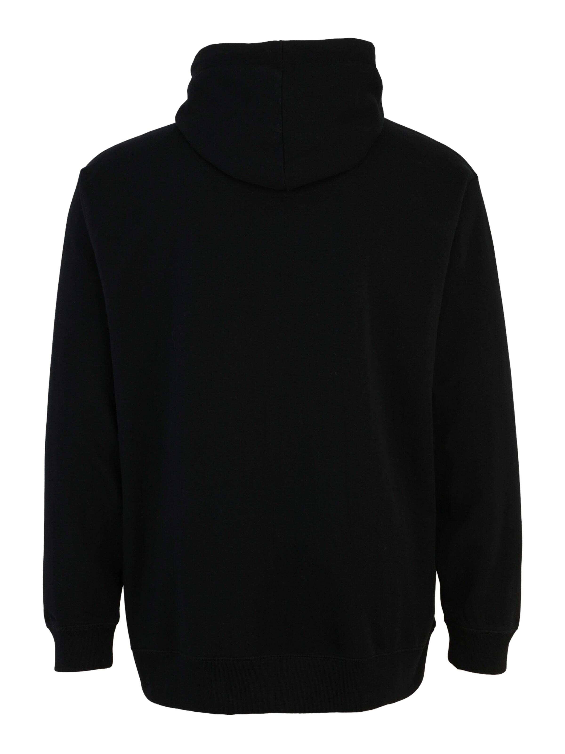 Petrol Industries Sweatshirt i svart
