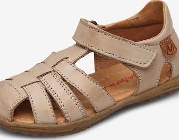 NATURINO Offene Schuhe 'SEE' in Grün: Vorderseite