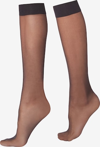 CALZEDONIA Knee High Socks in Black: front