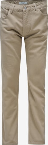 Salsa Jeans Hosen Straight in Weiß: Vorderseite