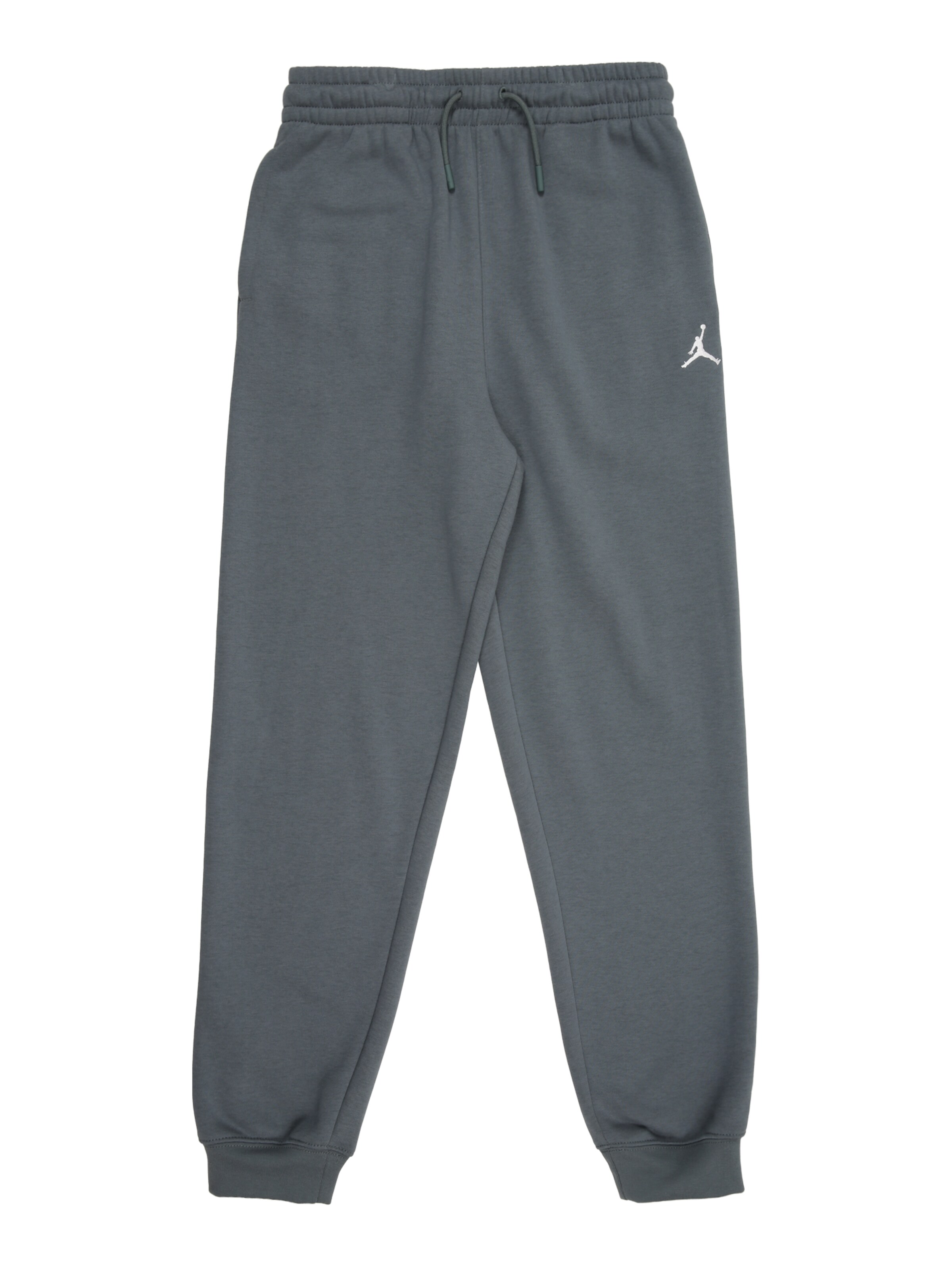 Tapered Pantaloni 'BRKLN FLC' di Jordan in grigio: frontale