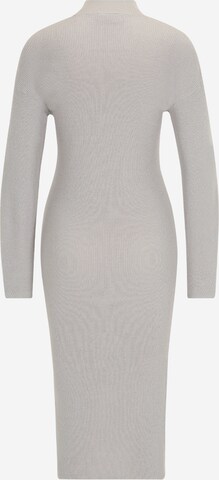 Vila Petite Knit dress 'ELANA' in Grey