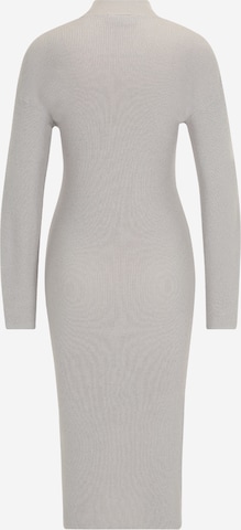 Vila Petite Knitted dress 'ELANA' in Light Grey | ABOUT YOU Vila Petite Knitted dress 'ELANA' in Light Grey | ABOUT YOU