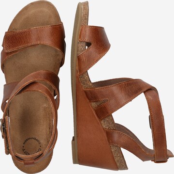 Ca'Shott Strap Sandals in Brown
