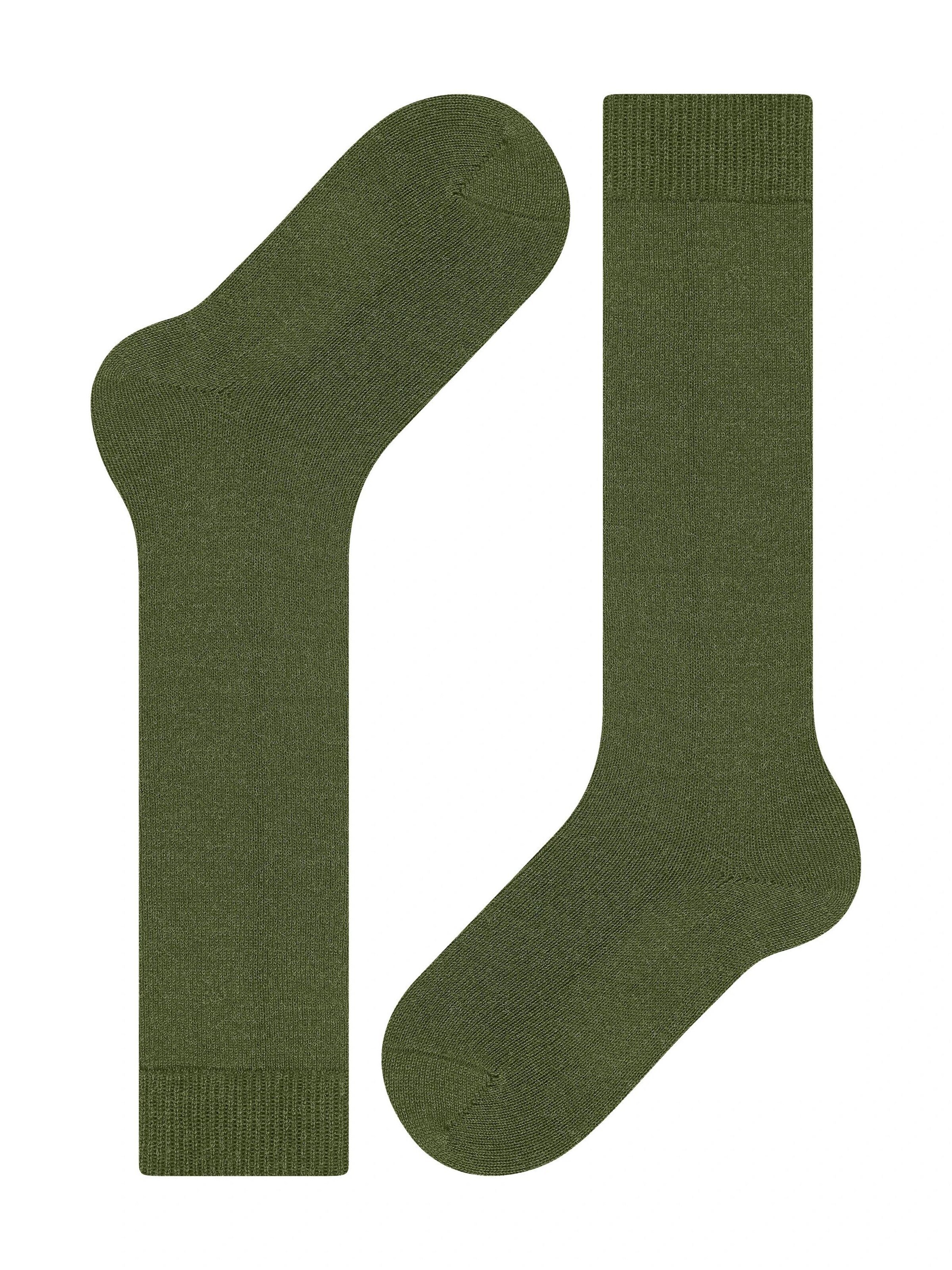 FALKE Socks 'Comfort Wool' in Green