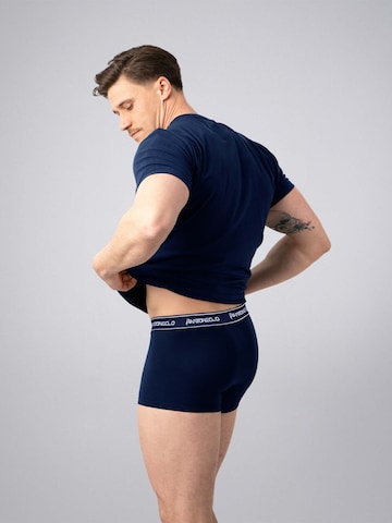 PANTONECLO Boxer shorts 'Pantoneclo Men’s Boxer Underwear' in Blue