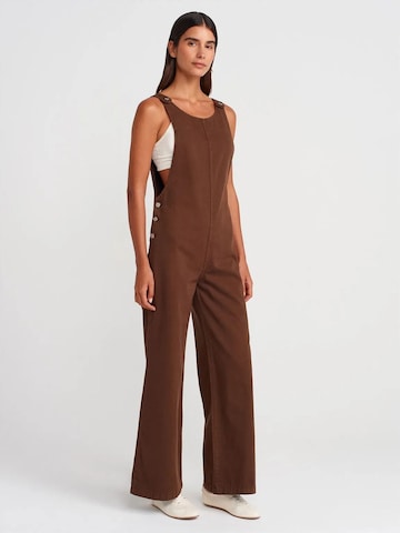 Combinaison Dilvin en marron