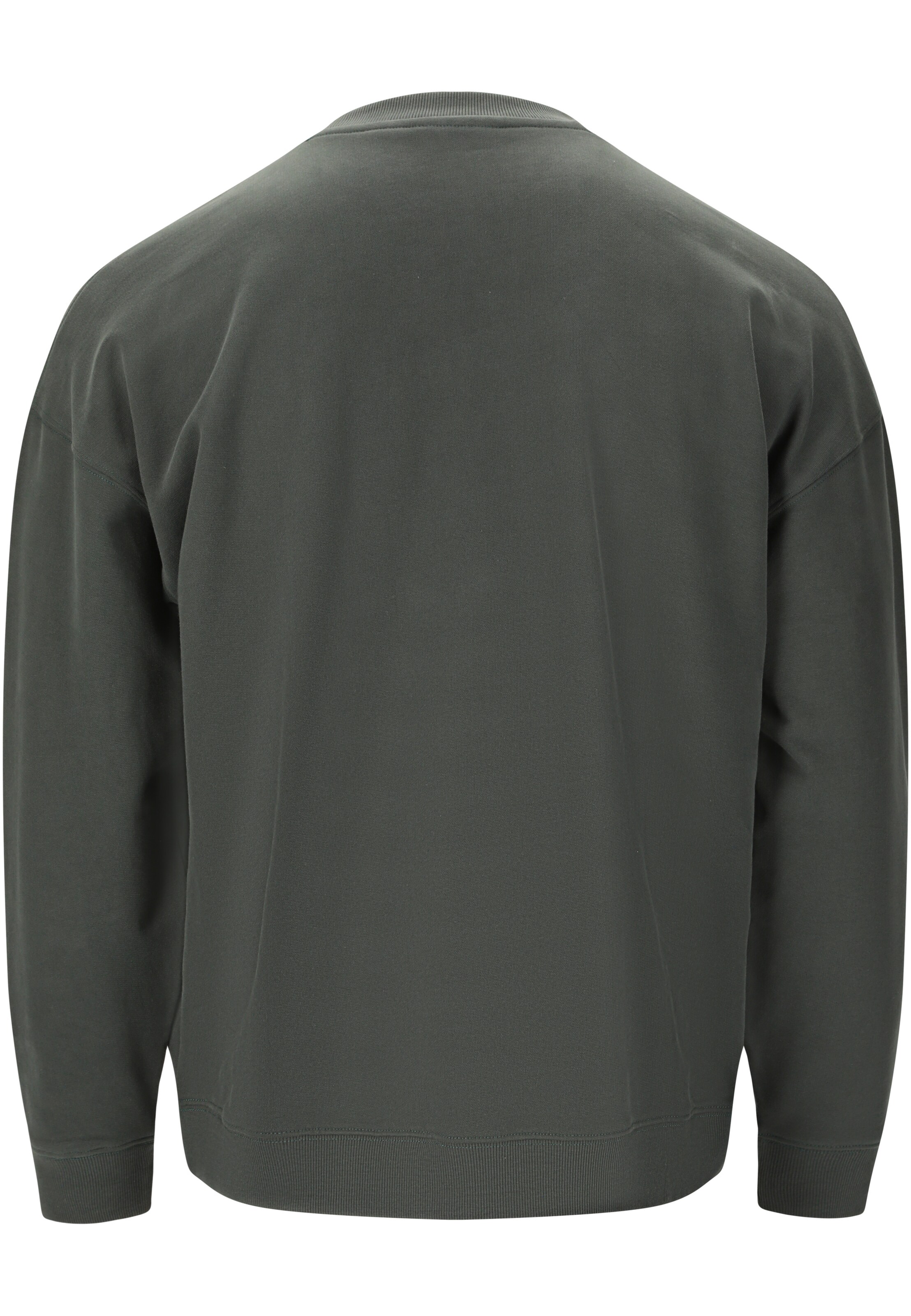 Virtus Sweatshirt 'Idan' in Green