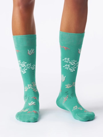 Von Jungfeld Socks 'Signature Icons' in Green