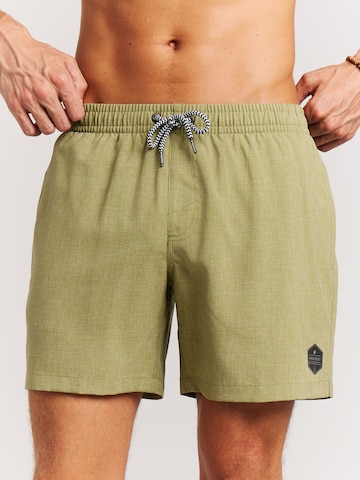 Shorts de bain 'Davey' PROTEST en vert