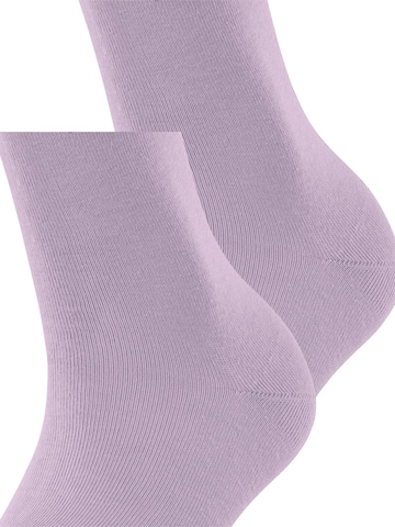 ESPRIT Socks 'Uni 2-Pack' in Purple: front
