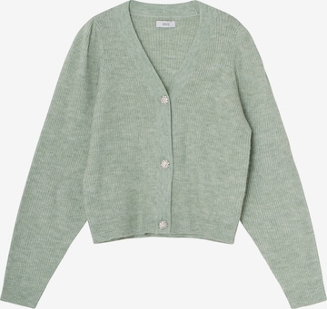 Envii Knit Cardigan 'Enbubu' in Green: front