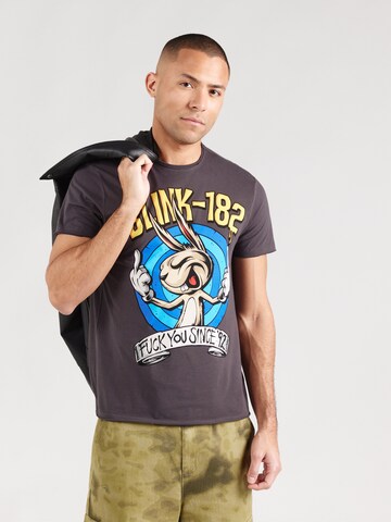 AMPLIFIED Paita 'Blink 182 Fuck You Since' värissä harmaa: etupuoli