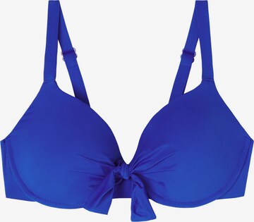 CALZEDONIA Push-up Bikini Top 'INDONESIA' in Blue: front