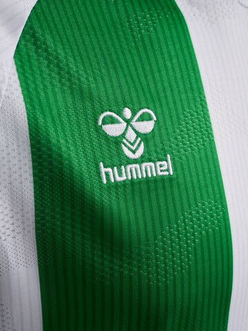 Hummel Jersey 'Real Betis 25/26' in Green